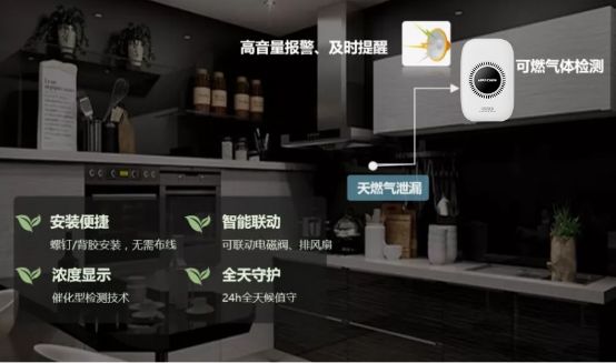 可燃?xì)怏w探測器